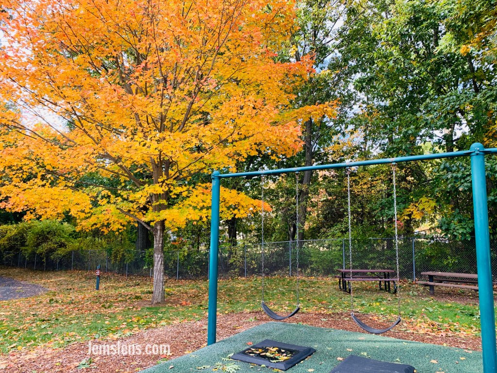 A Morning Stroll Through Northwest&nbsp;Park.