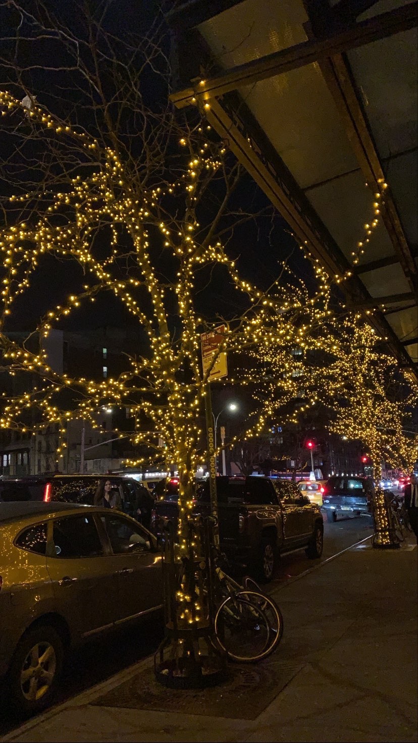 0c05e62b-ddb7-4f3a-89fe-cb18833547b4