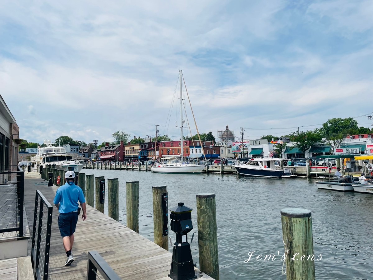 A Delightful Afternoon in Annapolis: Part&nbsp;II