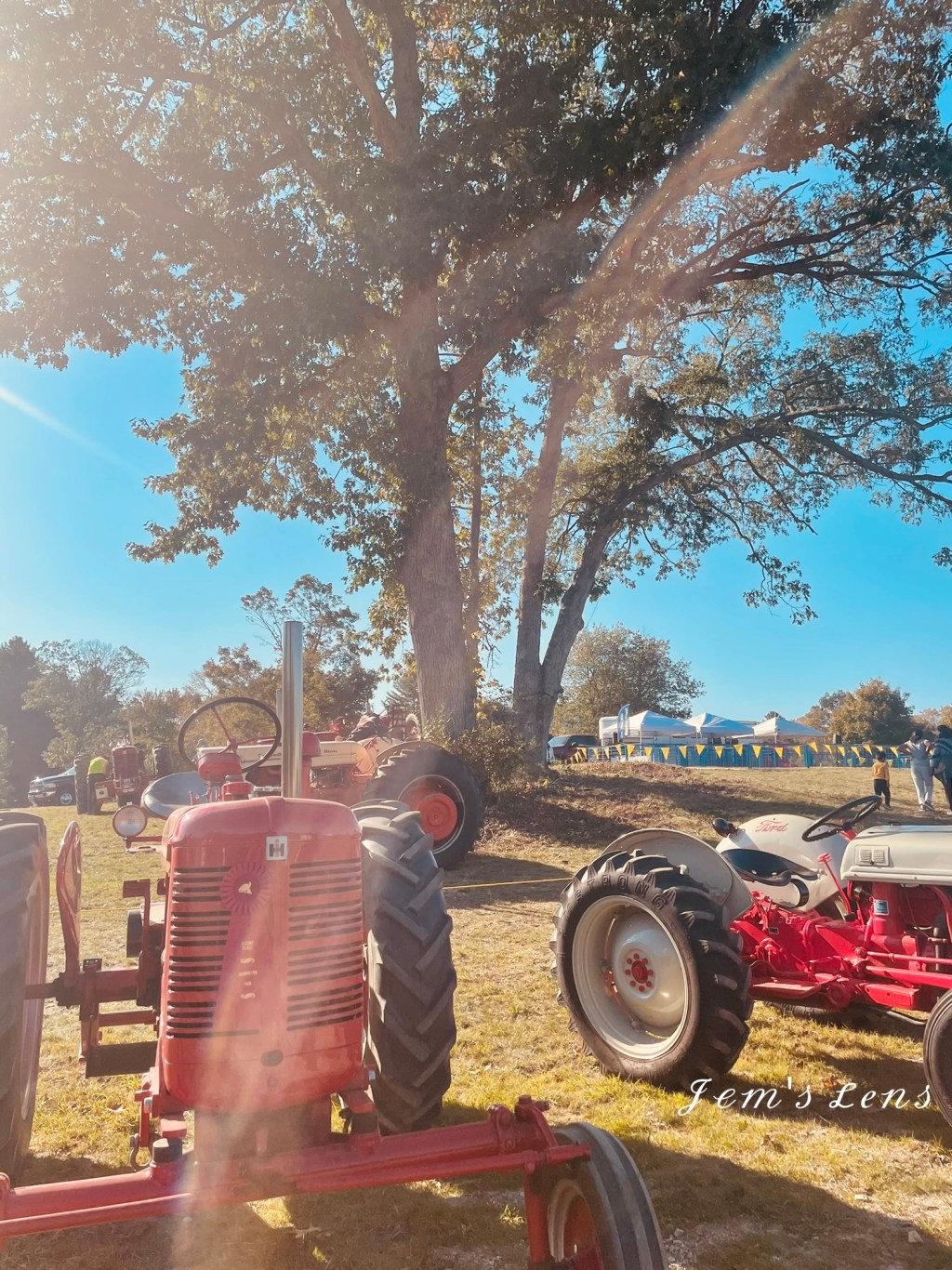 A Fun-Filled Day at the Harwinton&nbsp;Fair!