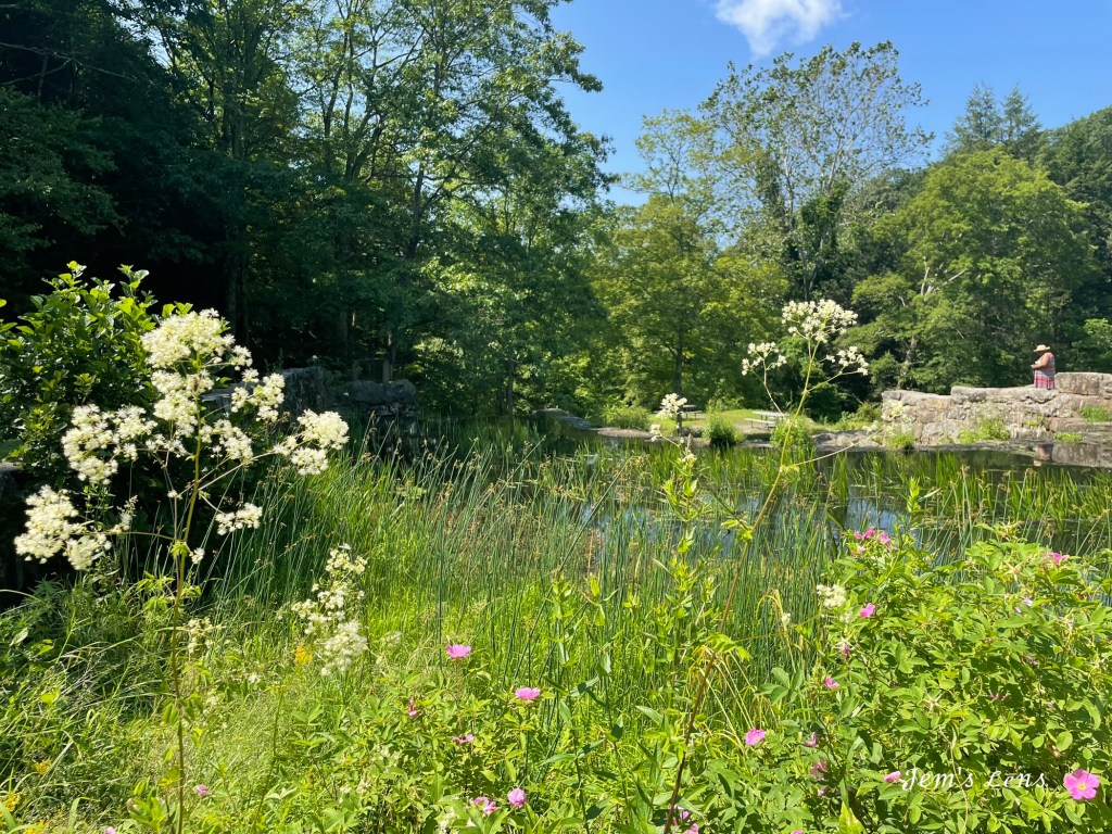 A Blissful day at Southford Falls