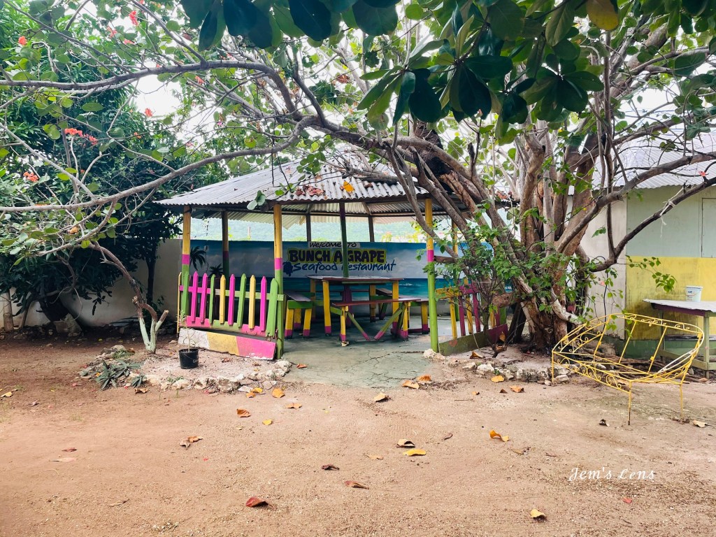 The Jamaican Chronicles: Family Dinner at Bunch A Grape&nbsp;Restaurant