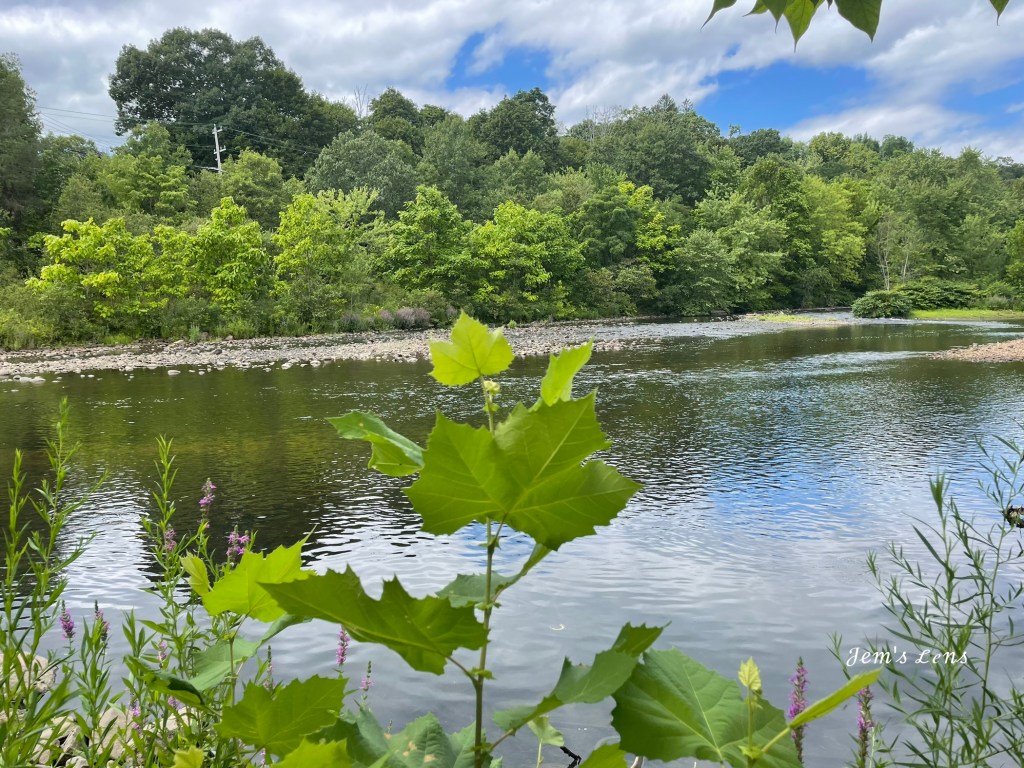 Exploring Connecticut: Linden Park